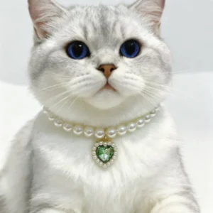 Princess Pearl Pet Collar for Small Dogs & Cats