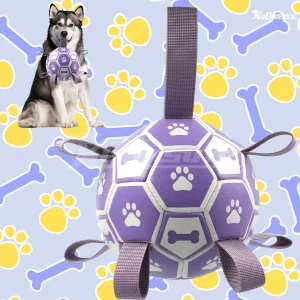 Interactive Soccer Ball with Straps